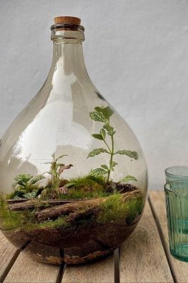 Jungle Bubble